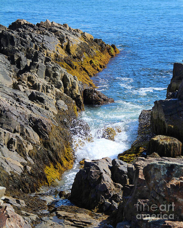 Landscape Poster featuring the photograph Marginal Way Crevice by Jemmy Archer