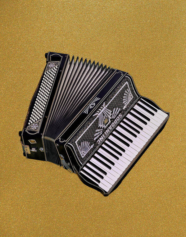 Accordion Poster featuring the photograph Marilyn's Accordion by Jamieson Brown