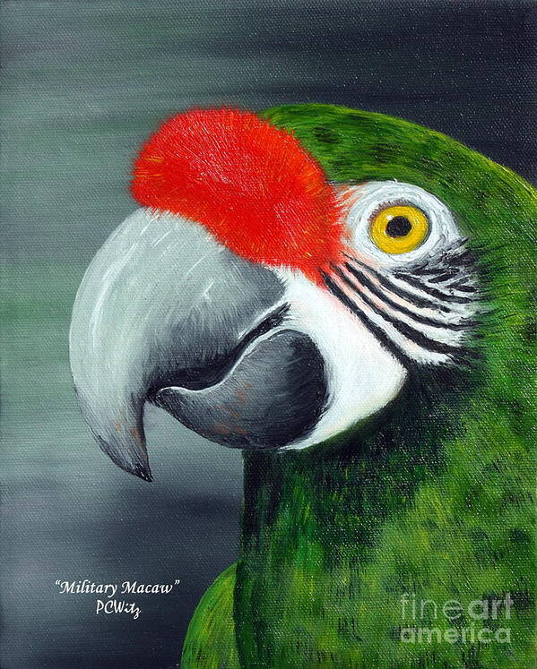 Military Macaw Poster featuring the photograph Military Macaw by Patrick Witz