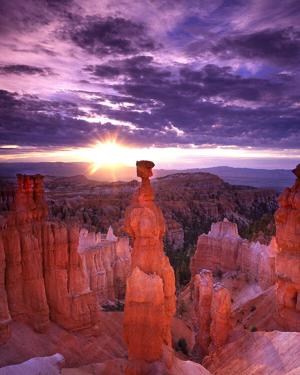 National Park Poster featuring the photograph Morning Glow by Ray Mathis