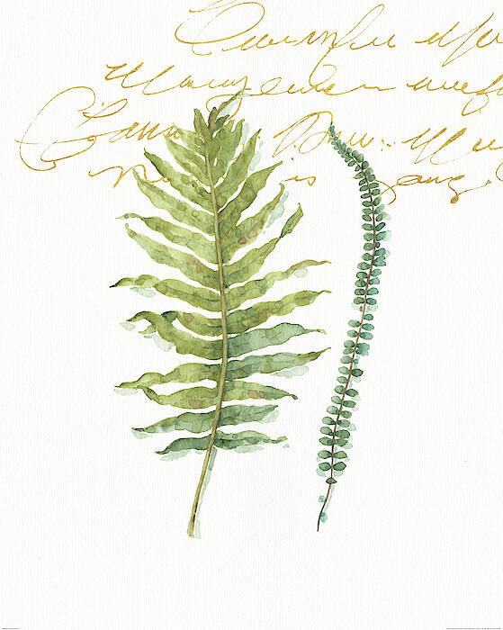 Botanical Poster featuring the painting My Greenhouse Fern I by Lisa Audit
