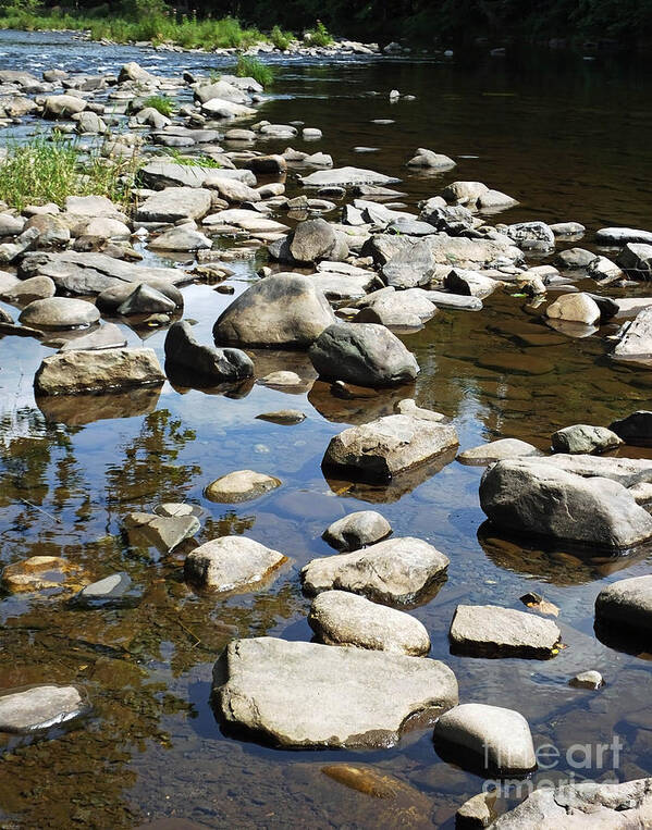 River Poster featuring the photograph Neversink River Stones New York by Lizi Beard-Ward