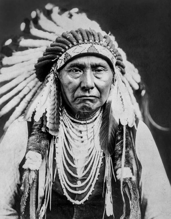 1903 Poster featuring the photograph Nez Perce Indian man circa 1903 by Aged Pixel