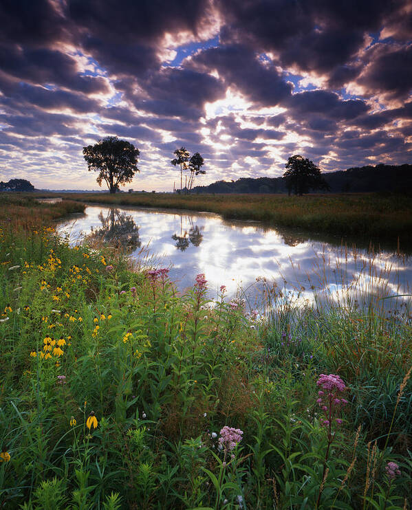 Sunset Poster featuring the photograph Nippersink Sunrise by Ray Mathis