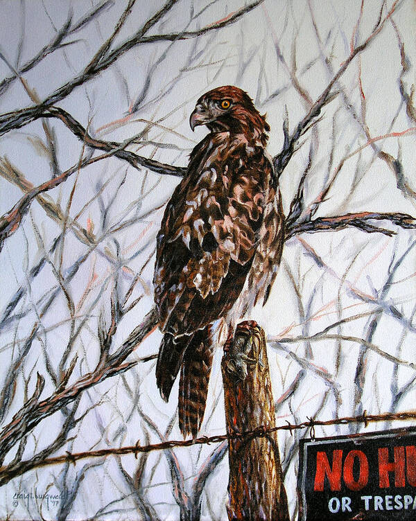 Red-tailed Hawk Poster featuring the painting No Hunting by Craig Burgwardt
