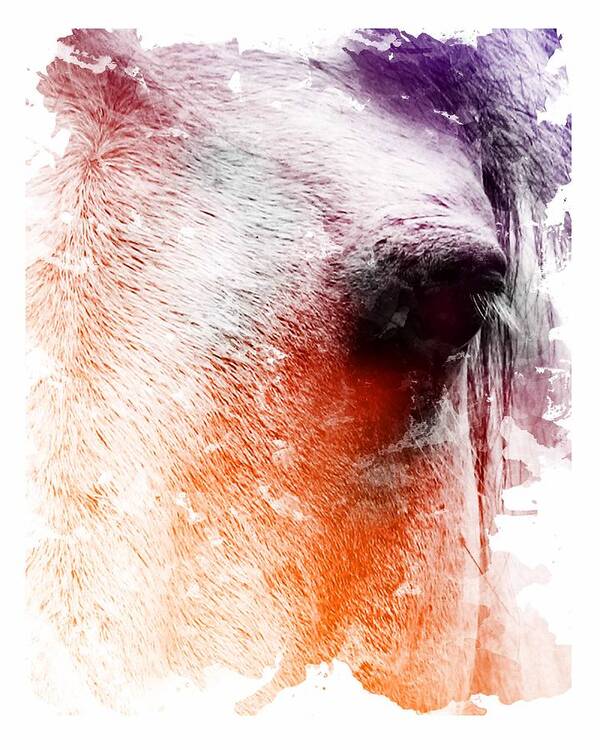 Horse Poster featuring the digital art Orange and Violet Abstract Horse by Diana Shively