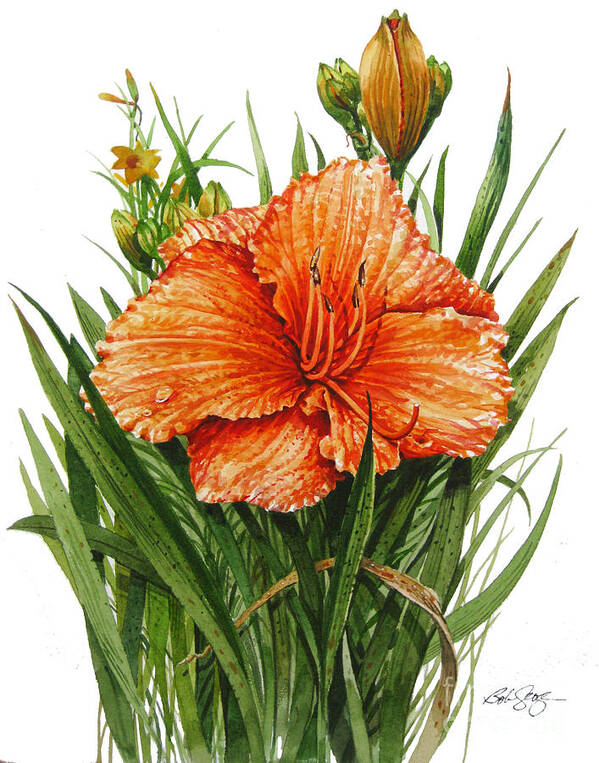 Wildflower Poster featuring the painting Orange Lily by Bob George