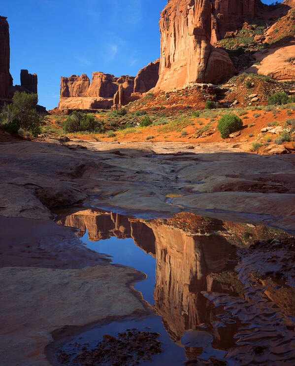 National Park Poster featuring the photograph Park Avenue by Ray Mathis