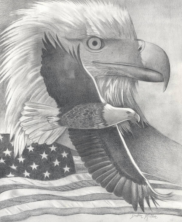 Art Poster featuring the drawing American Bald Eagle by Dustin Miller