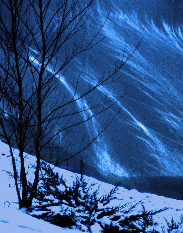 Snow Poster featuring the photograph Patterns on Ice by George Harth