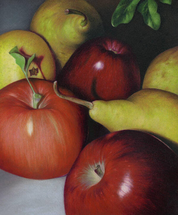 Fruits Poster featuring the drawing Pears and Apples by Natasha Denger
