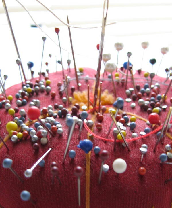 Pin Cushion Poster featuring the photograph Pins and Needles by Tracy Male