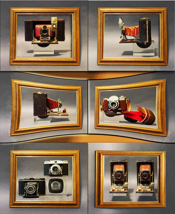 Cameras Poster featuring the photograph Portraits by John Anderson