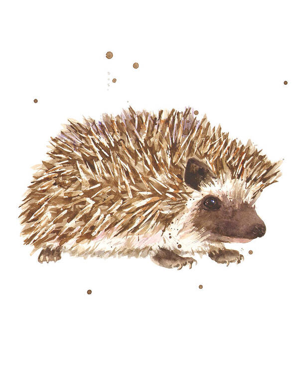 Hedgehog Poster featuring the painting Prickly Paul by Alison Fennell