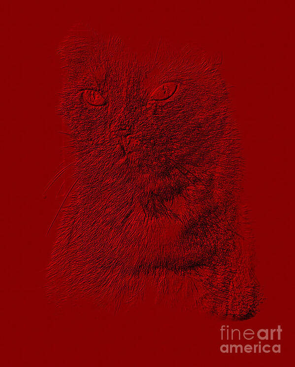 Animals Poster featuring the photograph Red Cat Collection. SPECIAL... by Oksana Semenchenko