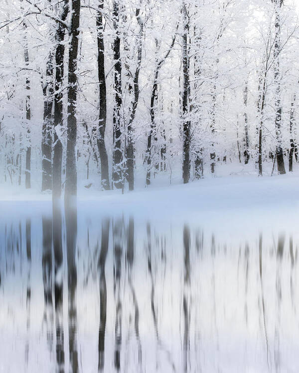 Winter Poster featuring the photograph Reflection on a Dream Collingwood, ON by Andrea Kollo