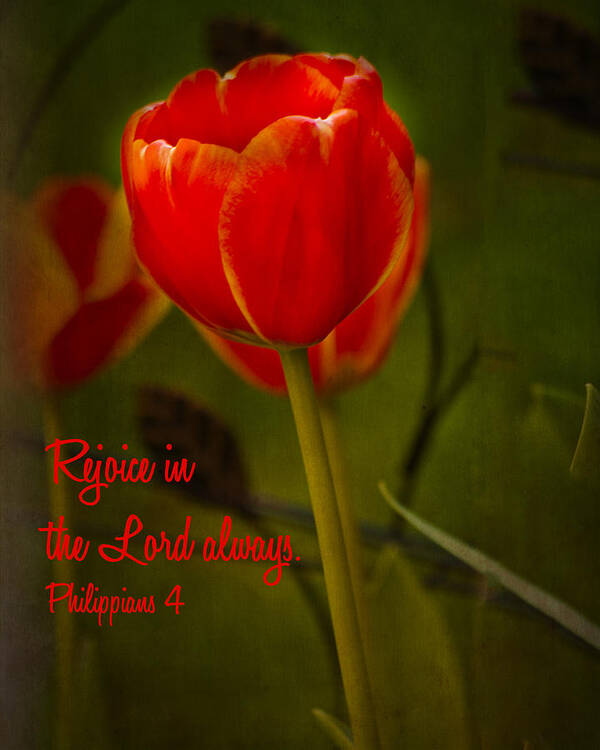 Scripture Poster featuring the photograph Rejoice in the Lord by Bill Barber