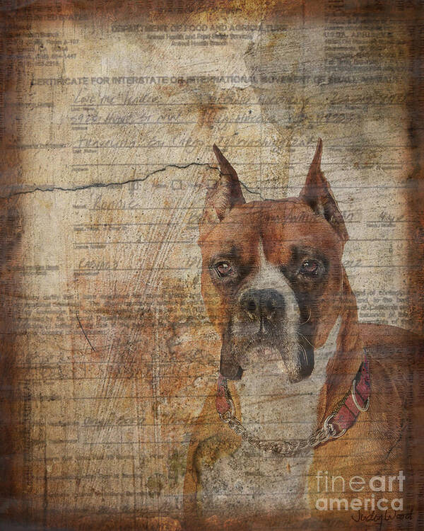 Dog Poster featuring the digital art Rescued by Judy Wood