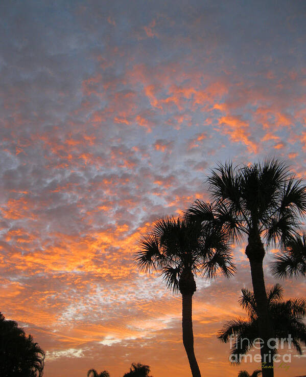 Sunrise Poster featuring the photograph Rise and Shine. Florida. Morning Sky View by Oksana Semenchenko