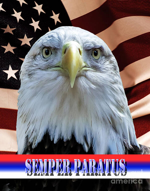 Semper Paratus Poster featuring the photograph Semper Paratus by Ken Frischkorn