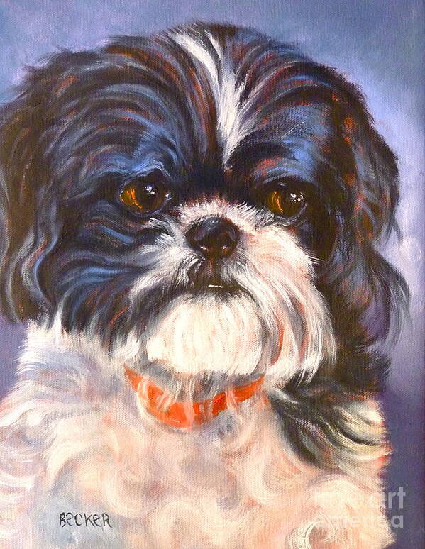 Shih Tzu Poster featuring the painting Shih Tzu Rescued by Susan A Becker