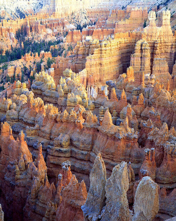 Bryce Canyon National Park Poster featuring the photograph Silent City Sunset by Ray Mathis
