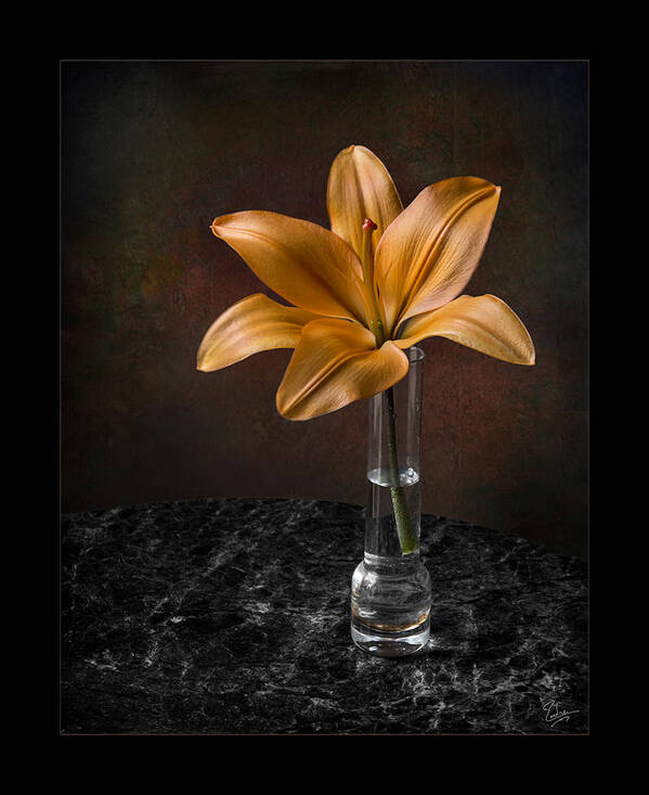Flower Poster featuring the photograph Single Asiatic Lily in Vase by Endre Balogh