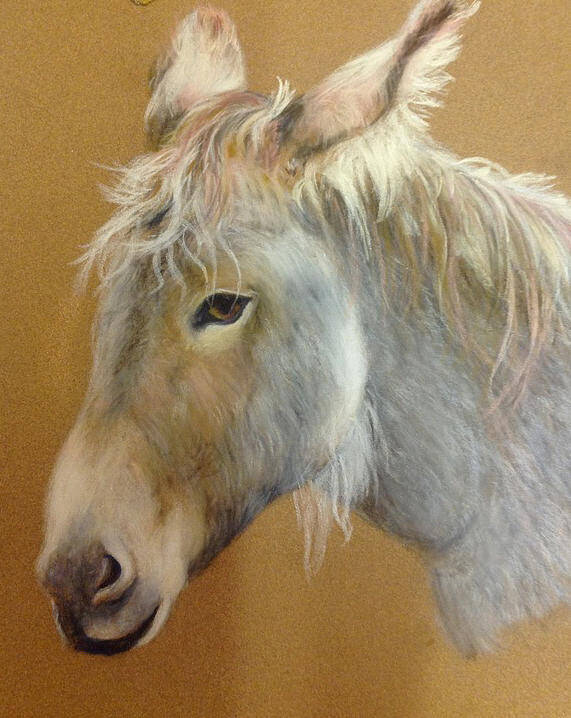Donkey Poster featuring the pastel Smarty by Anne Smart