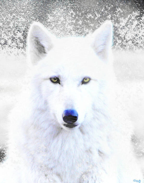 Wolf Poster featuring the photograph Snow Wolf by Nick Gustafson