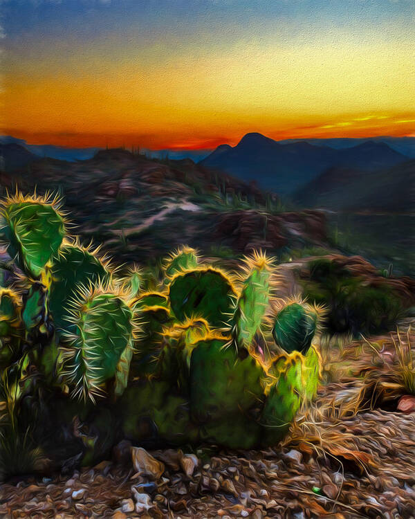 Landscape Poster featuring the photograph Southwestern Dream by Chris Bordeleau
