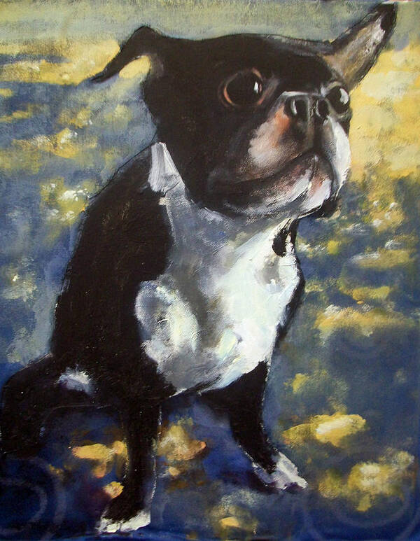 Dog Portrait Boston Terrier Poster featuring the painting Spencer by Tom Smith