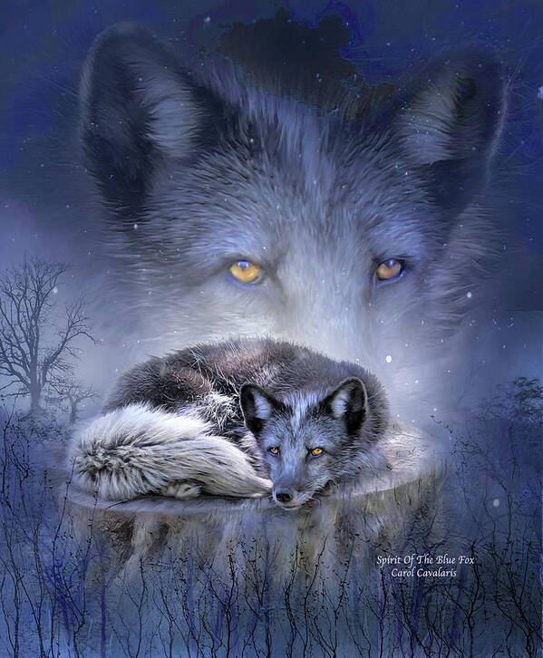 Fox Poster featuring the mixed media Spirit Of The Blue Fox by Carol Cavalaris