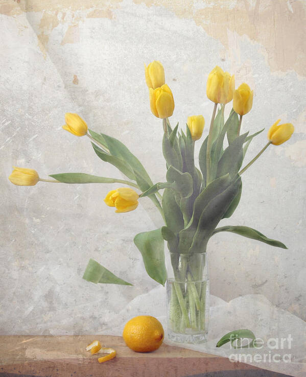 Spring Poster featuring the photograph Spring by Irina No
