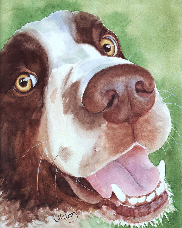 Springer Spaniel Painting Poster featuring the painting Springer by Greg and Linda Halom