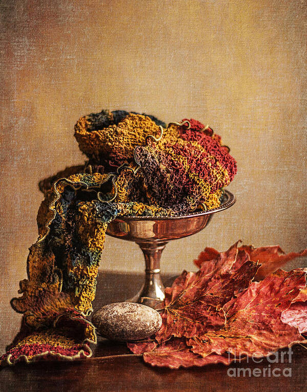 Scarf Poster featuring the photograph Still Life with Scarf by Terry Rowe