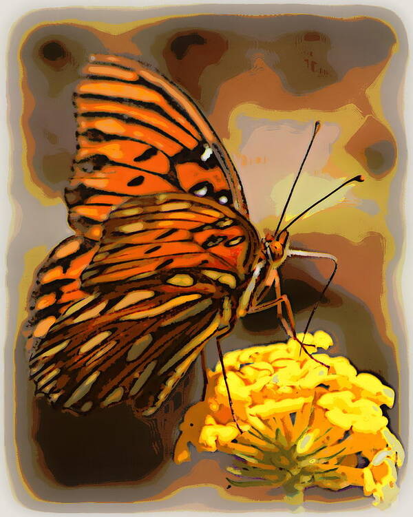 Butterfly Poster featuring the photograph Sunlite Orange Butterfly by Sheri McLeroy