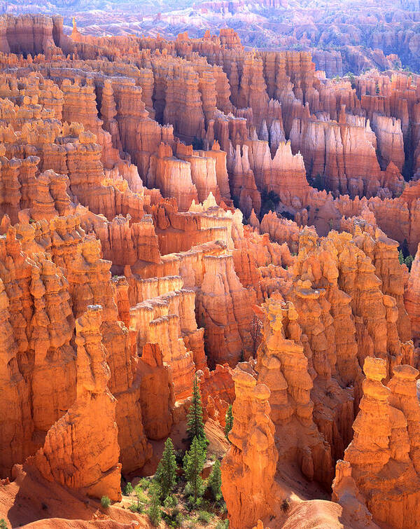 National Park Poster featuring the photograph Sunrise in the City by Ray Mathis