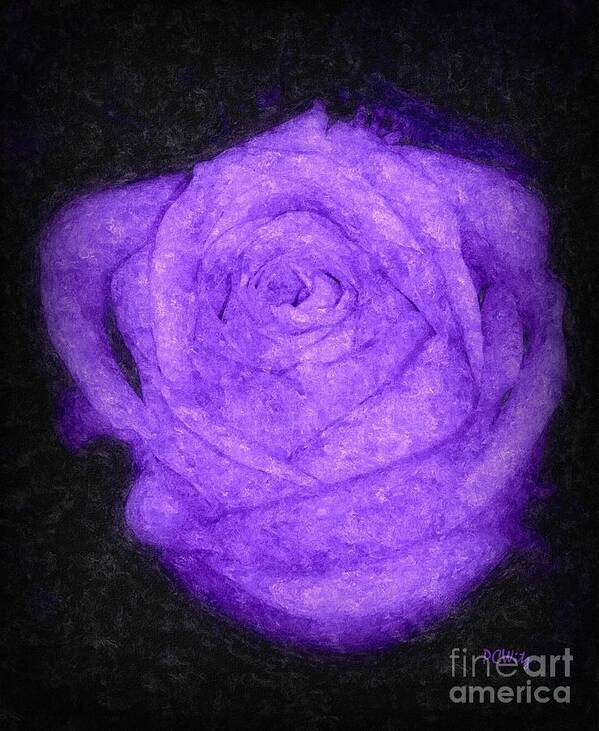 Sweet Lavender Rose Poster featuring the photograph Sweet Lavender Rose by Patrick Witz