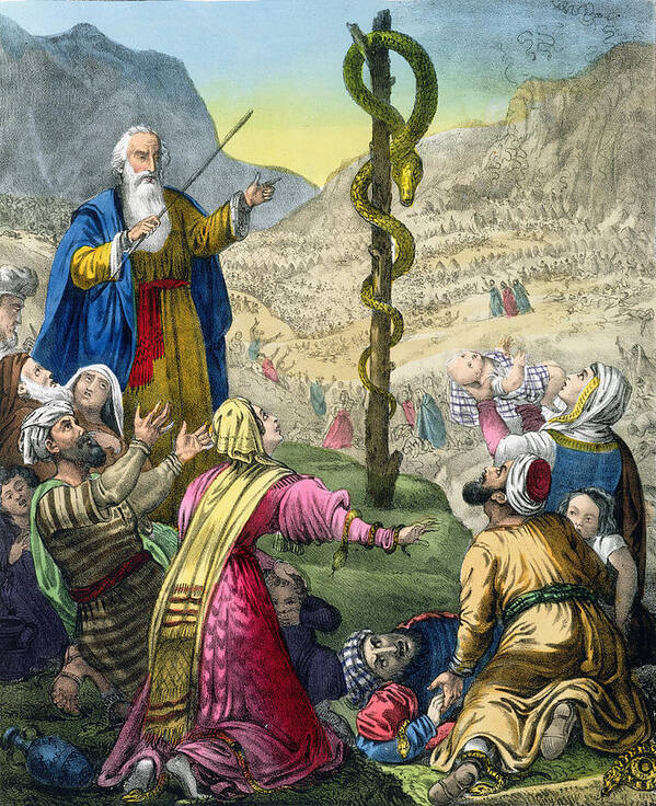 Print Poster featuring the drawing The Brazen Serpent, From A Bible by Siegfried Detler Bendixen