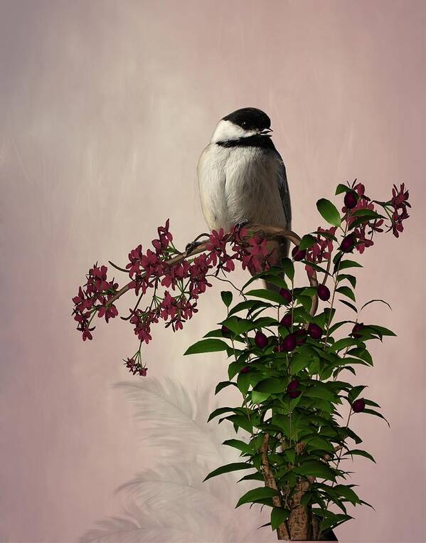 Animal Poster featuring the photograph The Chickadee by Davandra Cribbie