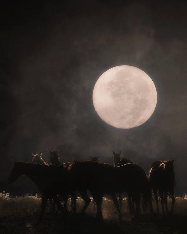 Equine Poster featuring the photograph The Night Shift by Ron McGinnis