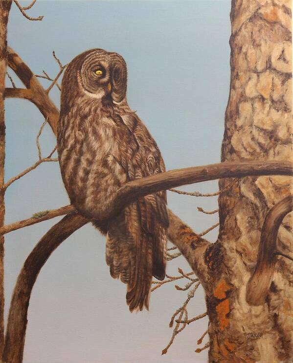 Great Grey Owl Poster featuring the painting The Surveyor by Tammy Taylor