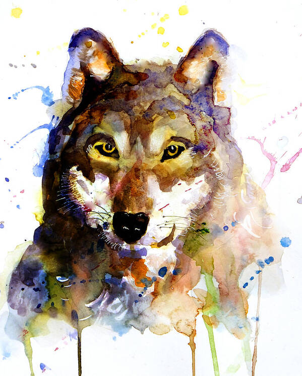 Wolf Poster featuring the painting The Wolf by Steven Ponsford