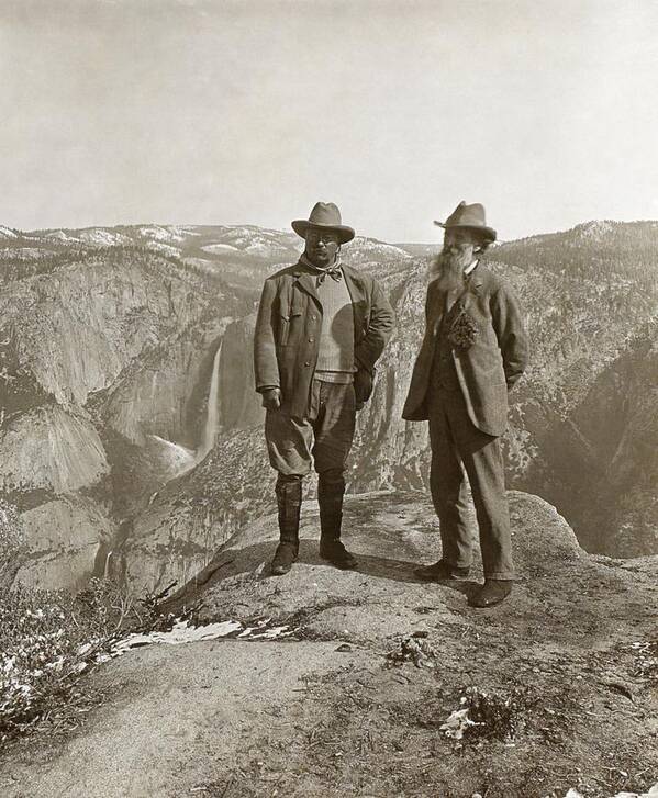 Theodore Roosevelt Poster featuring the photograph Theodore Roosevelt And John Muir by Library Of Congress