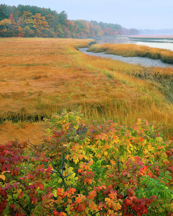 Autumn Poster featuring the photograph USA, Maine, Kennebunkport by Jaynes Gallery