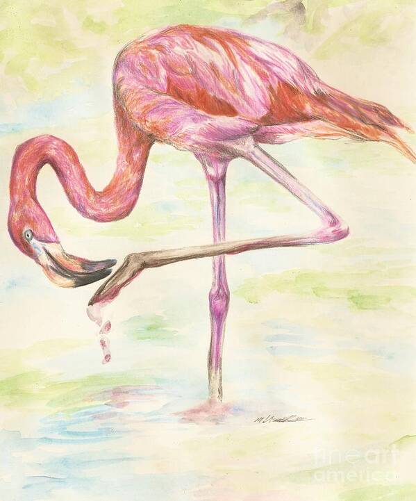 Bird Poster featuring the drawing Washable Pink by Meagan Visser