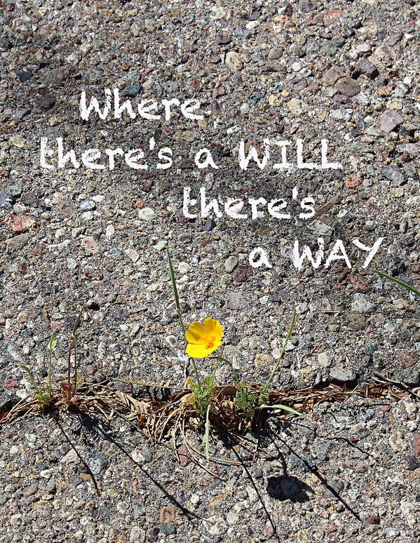 Pavement Poster featuring the photograph Where There's a Will There's a Way by Kume Bryant