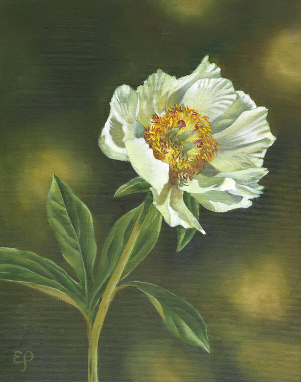 White Peony Poster featuring the painting White Peony by Elena Polozova