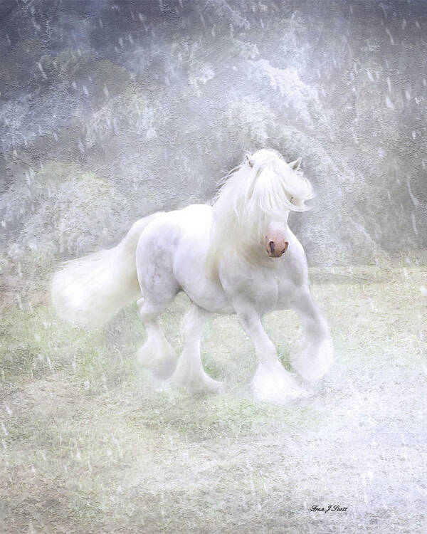 Horses Poster featuring the photograph Winter Spirit by Fran J Scott