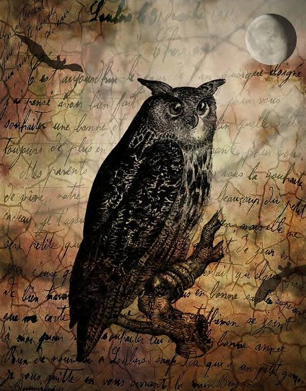 Collage Poster featuring the digital art Wise Old Owl by Lora Mercado